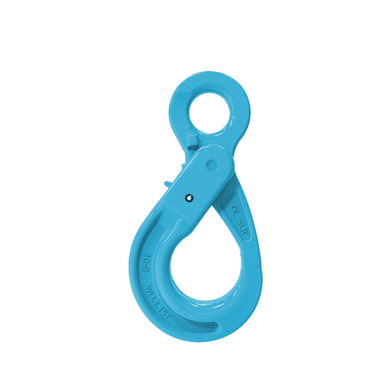 Eye Type Self Locking Hook ¦ Grade 10