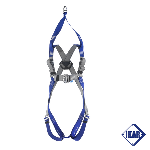 Two Point Harness with Push Through Buckles