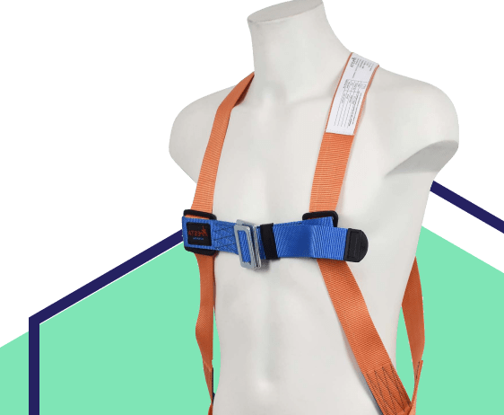 Choose the correct harness